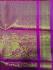 KPM AJ SILK SAREE WB